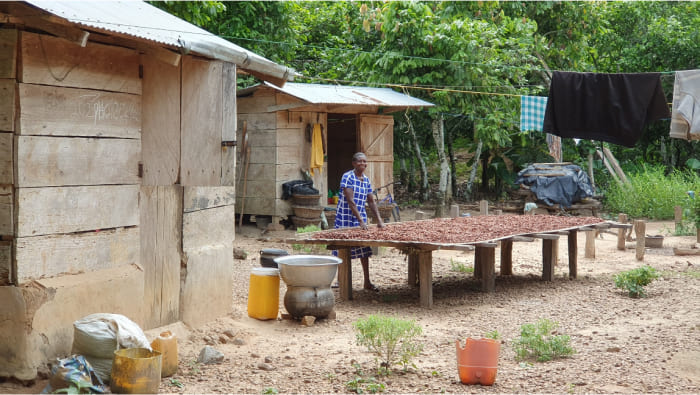 A woman is sorting beans