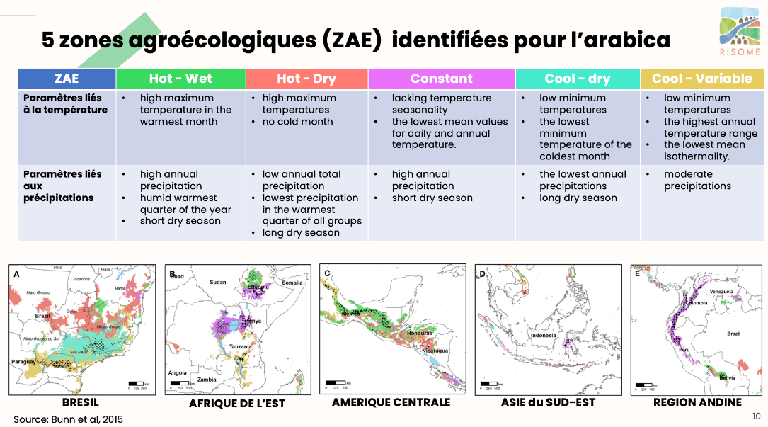 A table about agroecological area for arabica