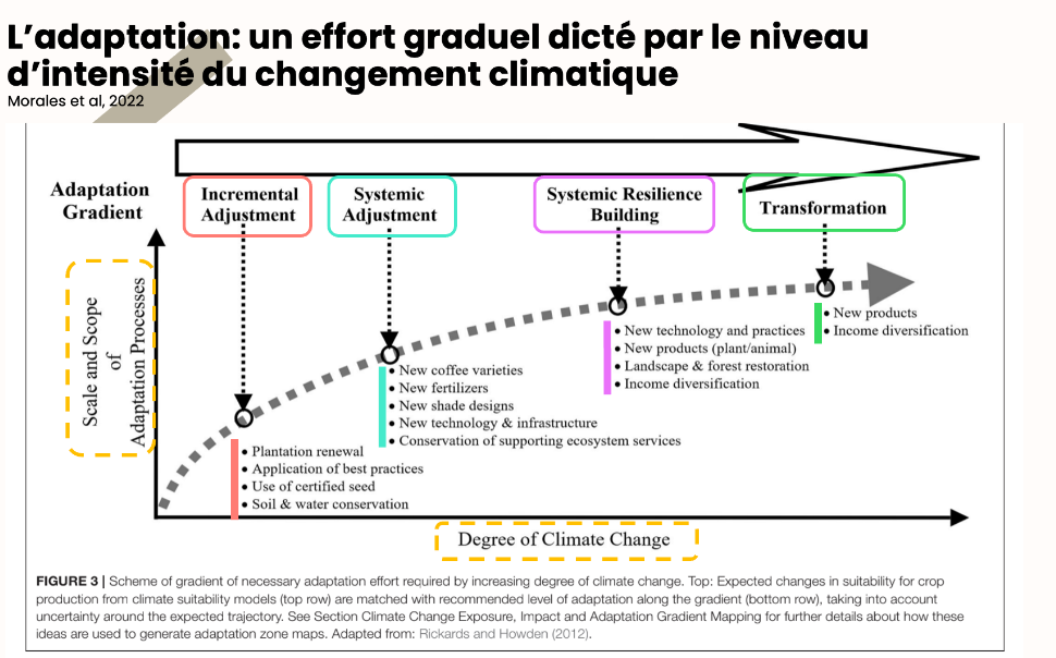 Chart about adaptating to the climate change