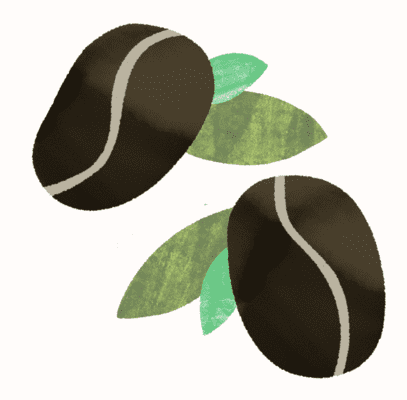 Illustration of coffee beans