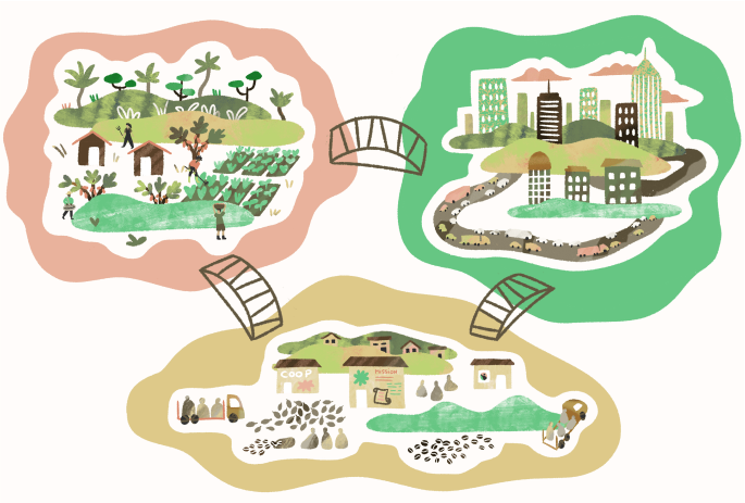 Illustration of 3 areas connected with bridges : agricultural area, cooperative area, city area