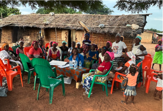 LI_focus group